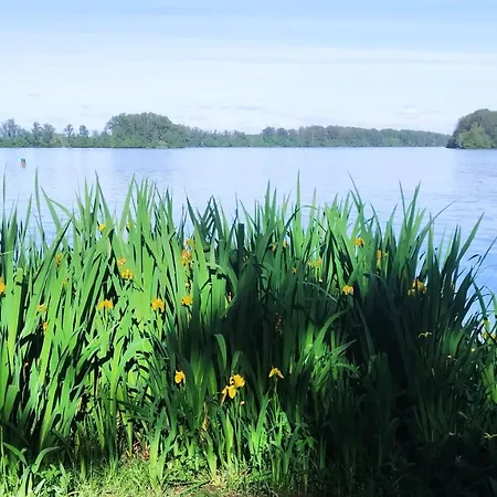 Lejlighed Zen Saint-Nicolas-de-la-Grave