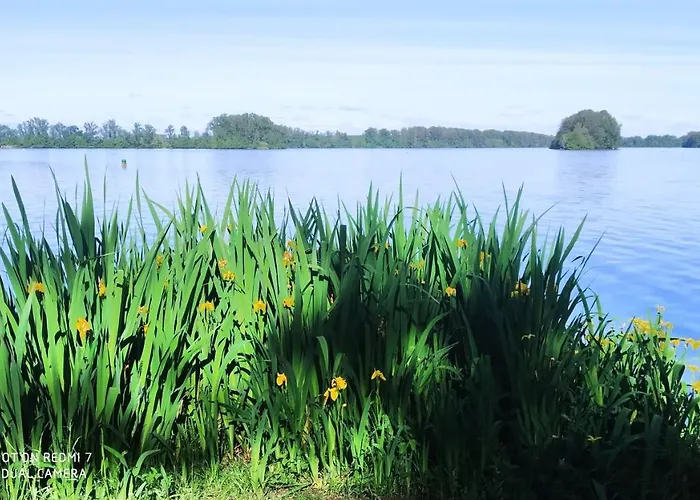 Lejlighed Zen Saint-Nicolas-de-la-Grave